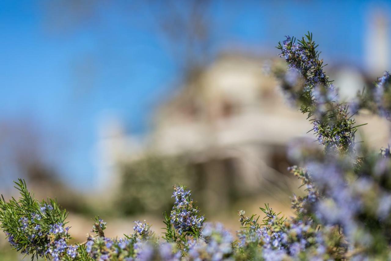 Villa Korina Пинезичи Экстерьер фото